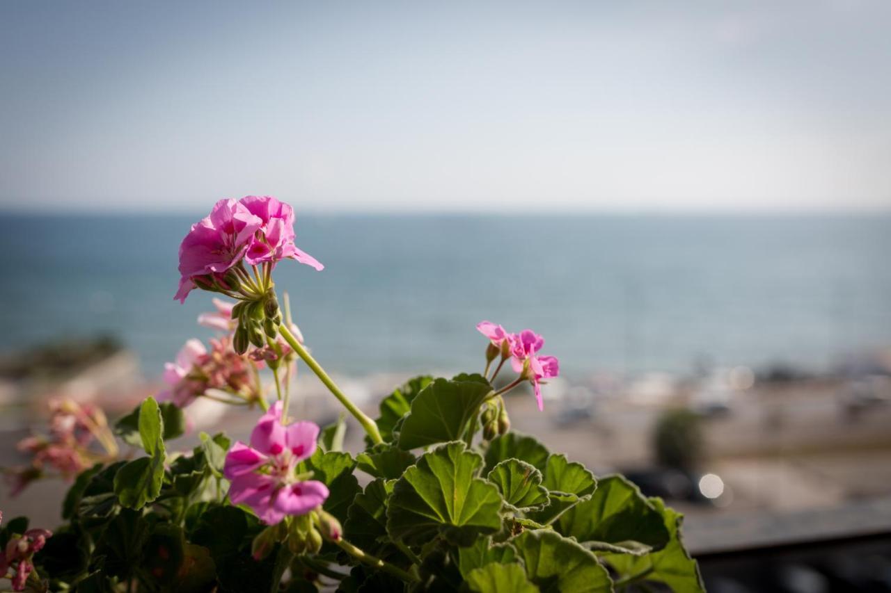 サレルノ Salsedine Sea View Bed & Breakfast エクステリア 写真